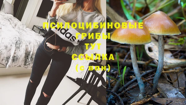 круглые Алексин